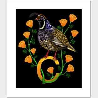 California quail state bird Californian poppy flowers Posters and Art